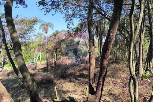 Terreno en caacupe — foto 4