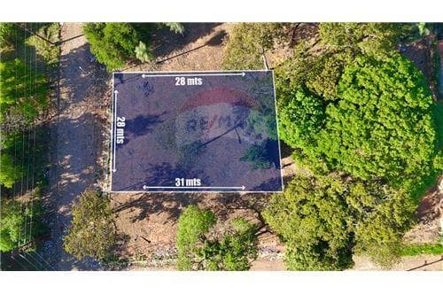 Amplio terreno de 28x31 a 200 m. de la avda Peron — foto 4