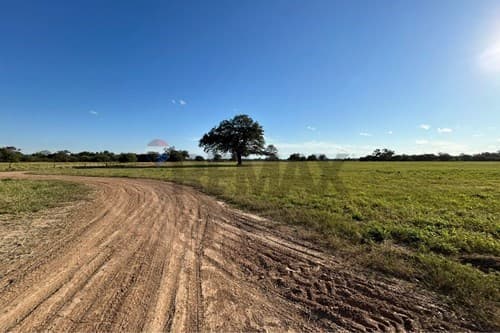 Terreno de 6ha preparado — foto 4