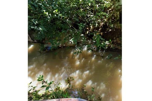 Ubicación estratégica: 11 ha con agua y bosque — foto 5