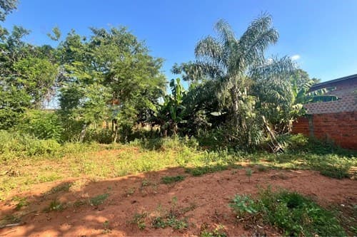 Terreno en limpio — foto 4