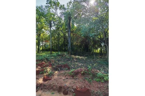 "Terreno en Zárate Isla, Luque"