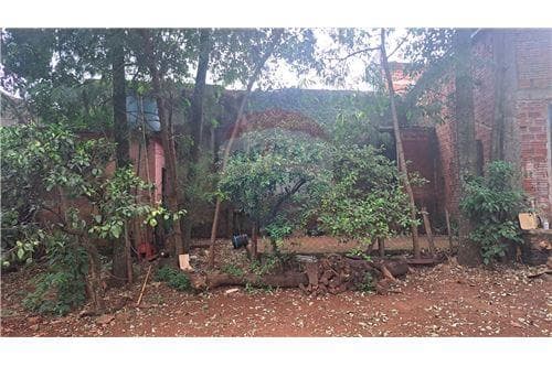 Amplio lote con salon comercial céntrico en venta — foto 3
