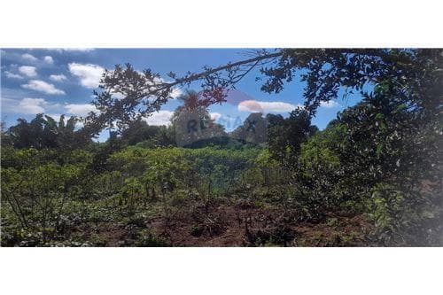 Terreno en barrio caacupemi - hernandarias — foto 2