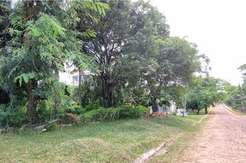 Terreno en villa florida — foto 4