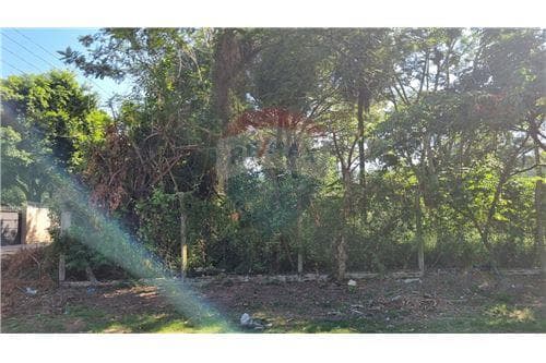 terreno en esquina Puerto Pabla- Lambaré, foto 3