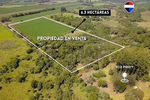 6.3 HAS | Alto Potencial de Inversión Alto Paraná — foto 2