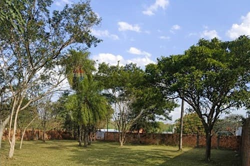 Terreno en Luque Ideal para inversión y desarrollo, foto 5
