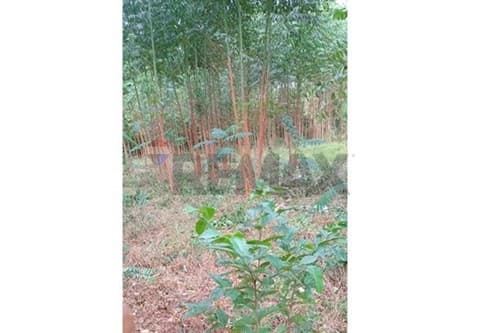 ¡Invierta en terreno ideal en Itauguá, Paraguay!