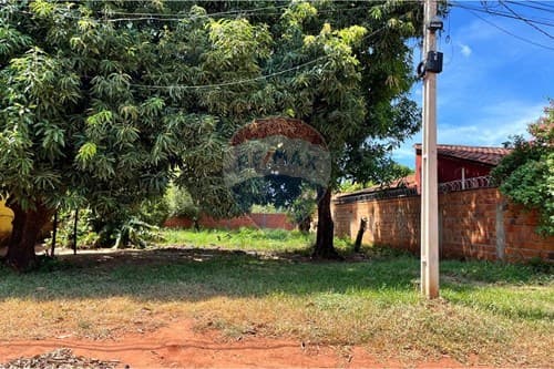 Terreno en la ciudad de Luque — foto 5