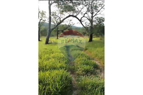 Inversión en Campo de 20 has. en Ybycu´í — foto 5