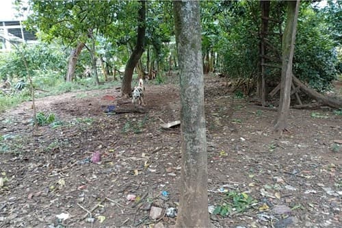 terreno en Belén, Concepción — foto 5