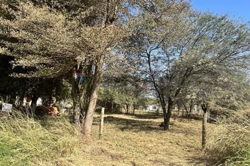De lote en complejo urbano boreal, foto 2
