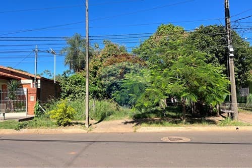 "Terreno en Buena Vista: Invierte en tu Futuro" — foto 4