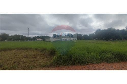 En venta terreno en nuevo fraccionamiento- Luque — foto 3
