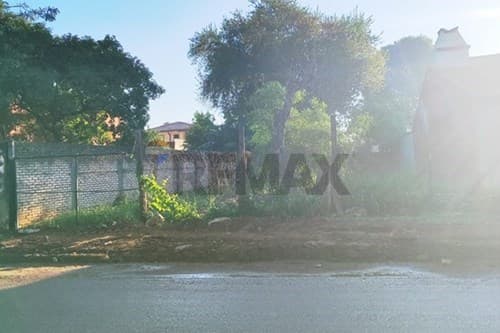 "Prime Investment: Versatile Land in Paraguay" — foto 4