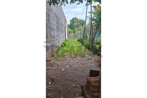 Terreno en Luque- campo grande — foto 2