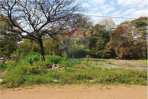 Vendo terreno en mariano zona maria auxiliadora