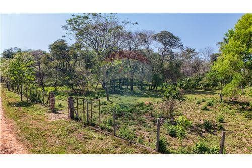 Lotes a metros de la ruta Luque - sanber — foto 3