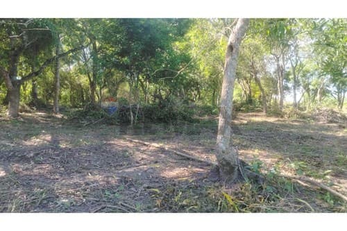 2 terrenos en loma grande - agua-y — foto 4