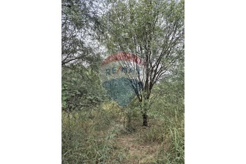 "Terreno Ideal en Villa Boquerón, ¡Hazlo Tuyo!", foto 2