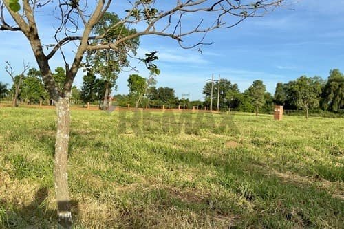 Lote en Filadelfia, foto 5