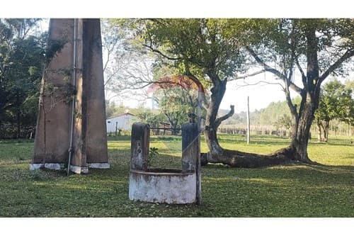 Vendo 13 hectáreas en Itacurubí de la Cordillera
