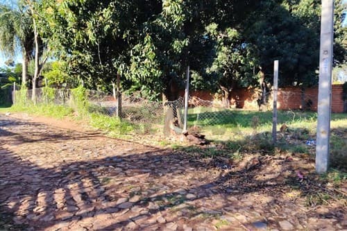 "Terreno en Ñemby: Inversión y Desarrollo Ideal", foto 5