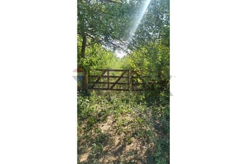 Vendo terreno de casi 1 hectárea – loma plata
