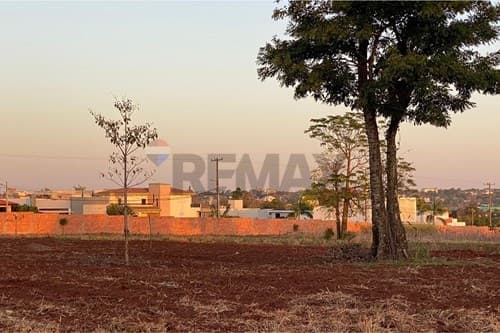 Terreno en cde, a 3 cuadras de la ruta py02 — foto 2