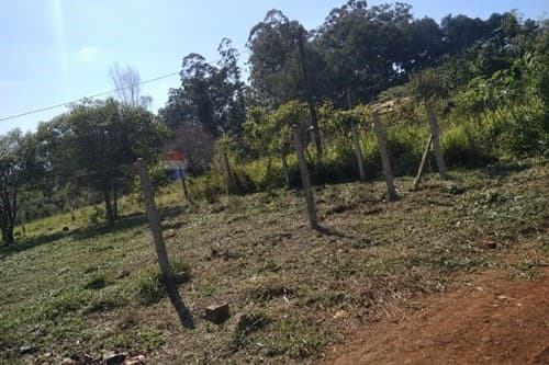 Dos Terrenos Juntos en Venta, foto 4