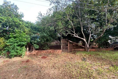 Terreno en venta – Km 7 Don Bosco — foto 3