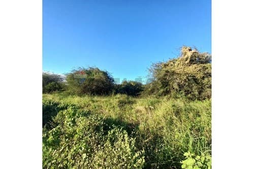 Terreno Residencial en Venta — foto 2