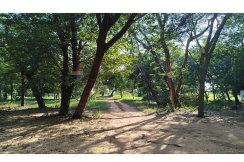 "Terreno en Barrio Cerrado Ecos del Lago ", foto 5