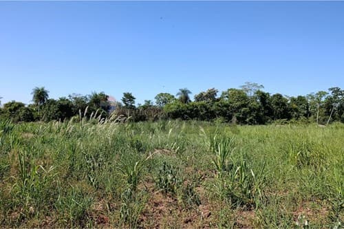 ¡Inversión Ideal en Alto Paraná, Paraguay!