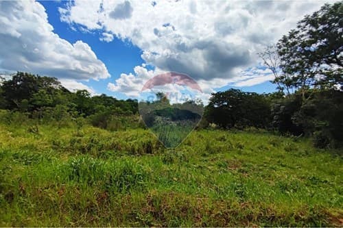 Terreno de 13650 m2 en Arroyos Y Esteros — foto 3