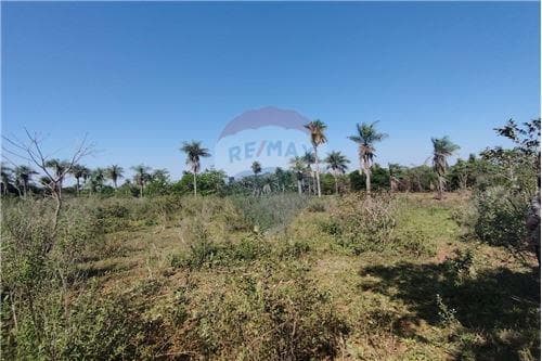 En venta 3,7 hectareas en nva colombia cordillera, foto 3
