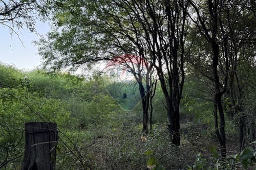 Terreno con Casa en Cruce Boquerón — foto 2
