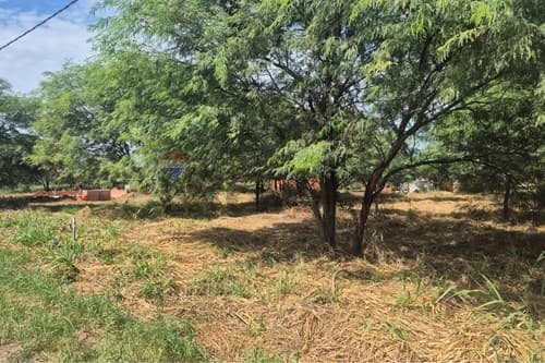 ¡Terrenos en el corazón del Chaco Paraguayo! — foto 2