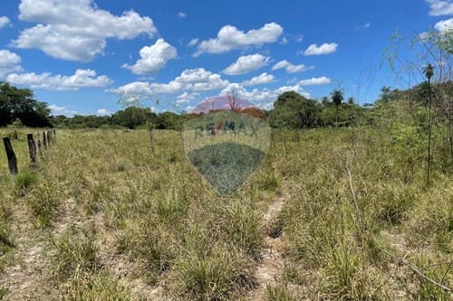 "Terreno en Venta: 4612m² en Villa Oliva — foto 5