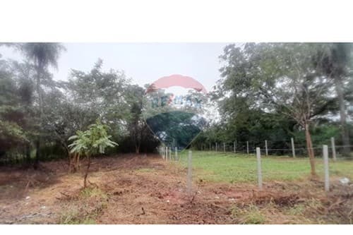 Terreno Ideal en Ñemby: ¡Invierte en Tu Futuro! — foto 3