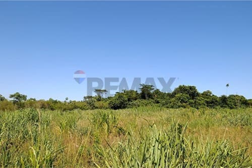 ¡Inversión Ideal en Alto Paraná, Paraguay! — foto 3