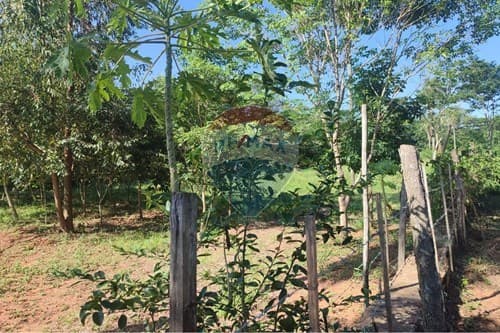 Terreno en j. Augusto saldivar — foto 2