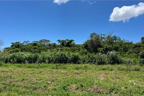 ¡Terreno en venta en Coronel Oviedo: 7.000m²! — foto 3