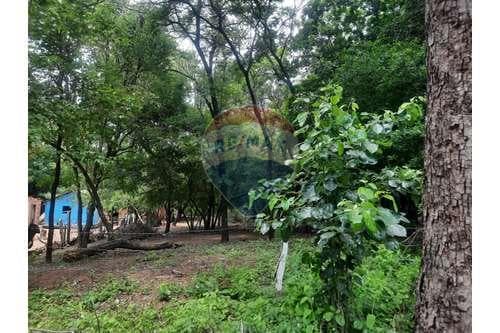 Oportunidad única de terreno San Bernardino — foto 4