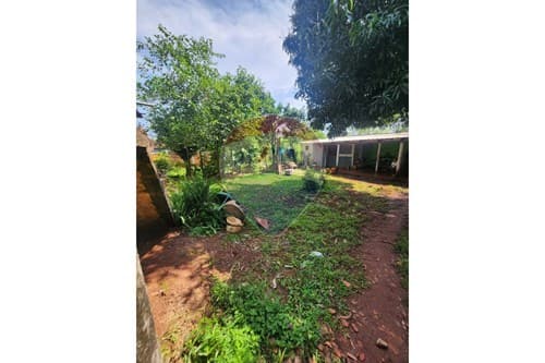 Vende o invierte en Hohenau: casa ideal en Itapúa — foto 2
