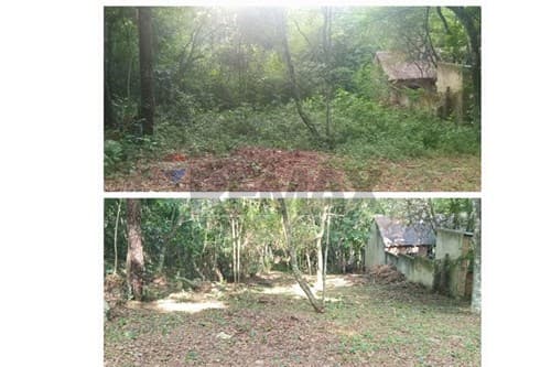 Terreno de 828m² en Nueva Colombia, ¡Invierte ya!