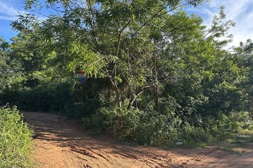 Terreno en Limpio: ¡Inversión Estratégica! — foto 4