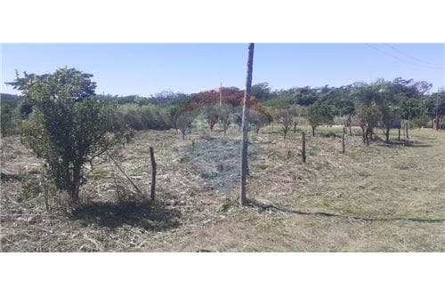 en Venta Terreno en San Juan del Parana — foto 5