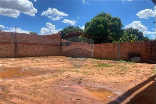 Dos terrenos juntos con tinglado en capiata — foto 2